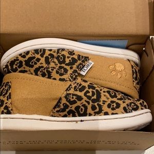 Toms tan Canvas Jaguar shoes